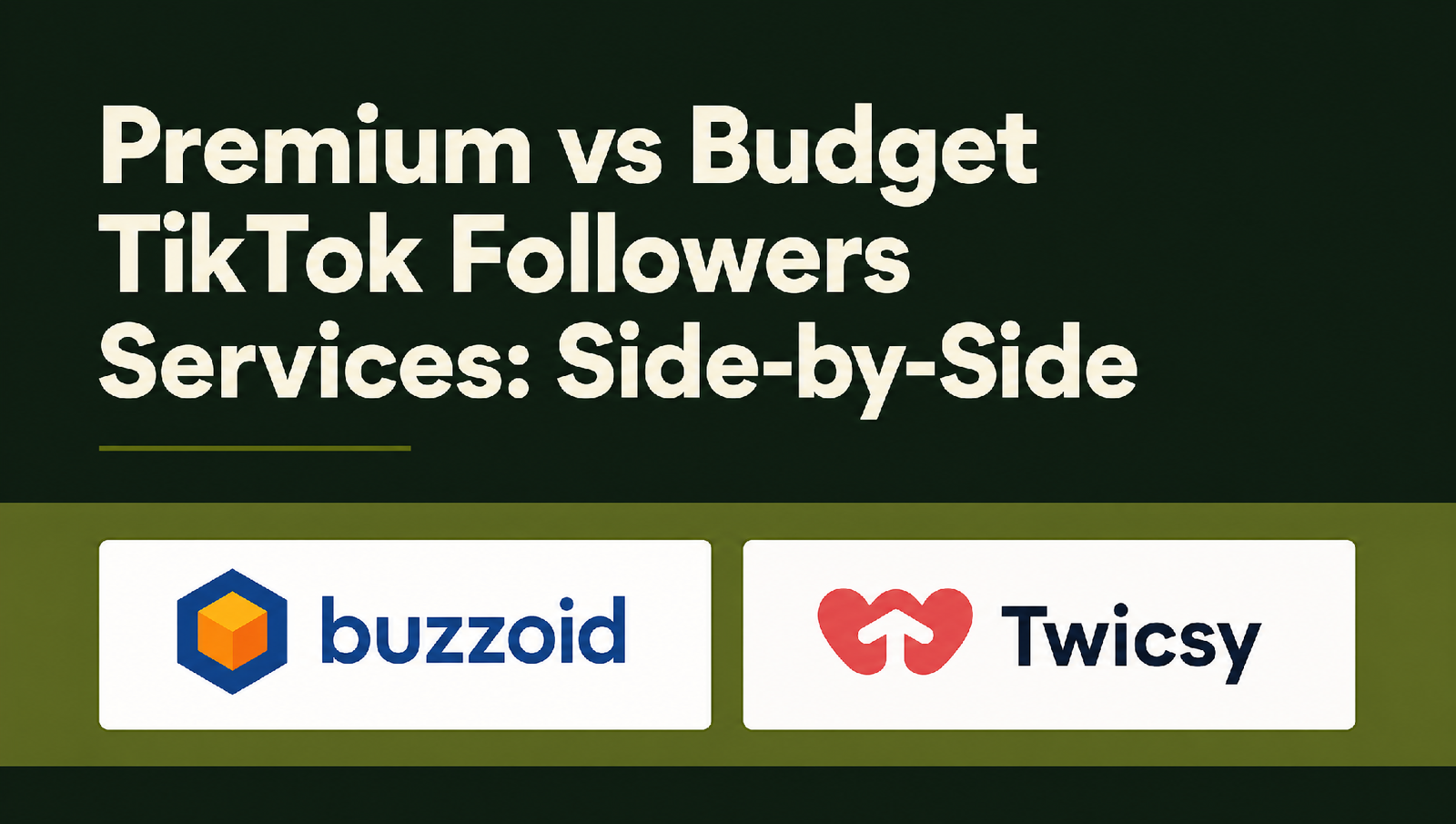 Premium vs Budget TikTok Followers: Buzzoid vs Twicsy